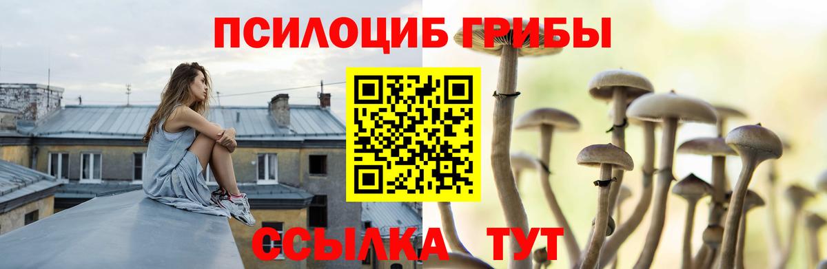 Галлюциногенные грибы MAGIC MUSHROOMS  Вход с VPN  Щёкино  где купить наркоту  Псилоцибиновые грибы прущие грибы 